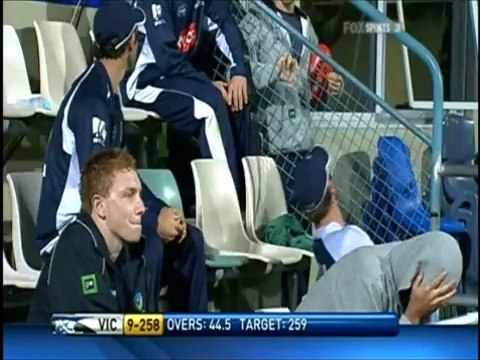 Glenn Maxwell Fastest Aus O D D 50 HIGHLIGHTS