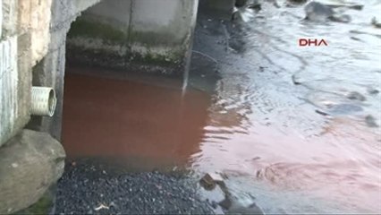 Boğaz Kızıla Büründü