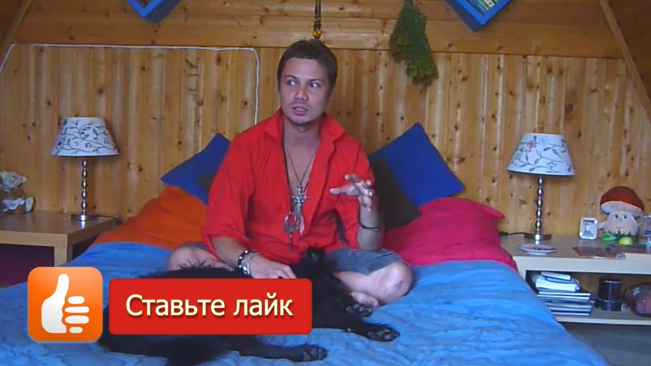 Домовой. Как задобрить домового, чтобы привлечь счастье и удачу в дом