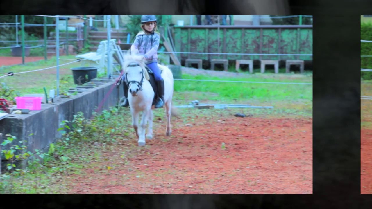 This Stage is your life