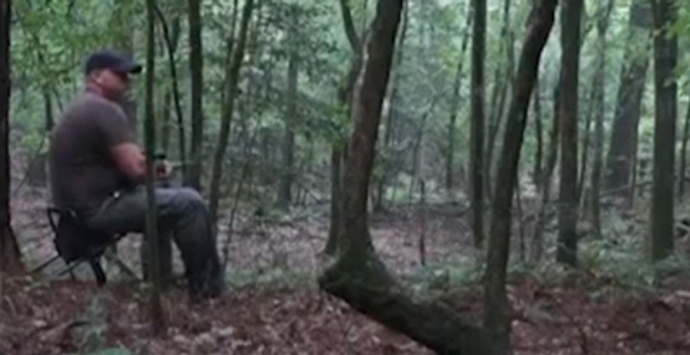 Ormandaki O Seslerin Nereden Geldiği Hala Bilinmiyor