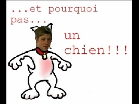 Newport Beach petit montage