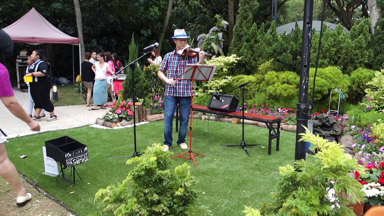 [Sony RX100 III] LMFAO Party Rock Anthem by Violinist Dan @ Sentosa Buskers Festival 2014
