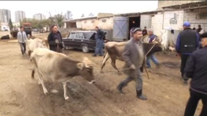 Türkiye Karabağ Göçmenlerini Sevindirecek