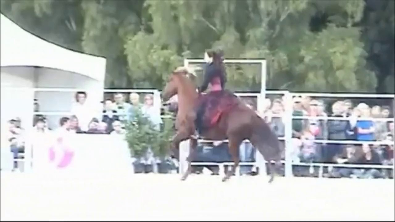 ÇERKES KIZI, DORU AYGIR VE ŞEYH ŞAMİL