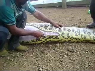 This Is Freaking Scary