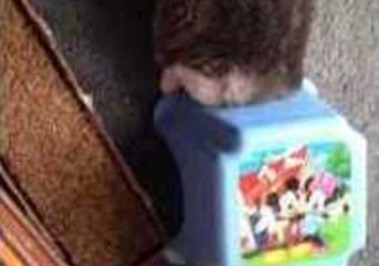 Kitten Gets Trapped Under a Step During Playtime