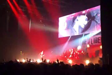 The Libertines, HorrorShow