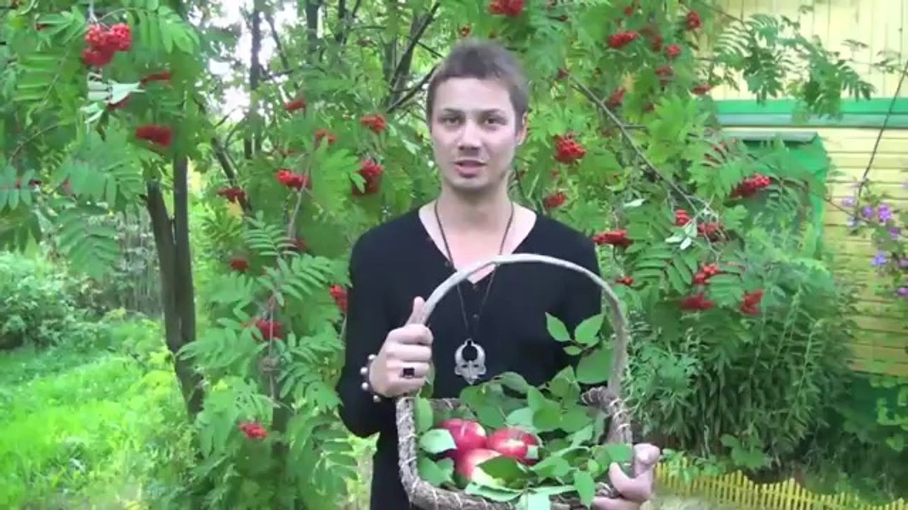 Как привлечь счастье  Как привлечь счастье в свою жизнь на Яблочный спас