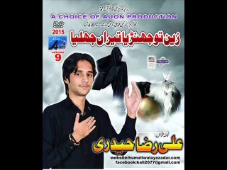 Upcoming Album 2015 Promo Nohakhawan Ali Raza Haideri