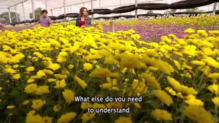 Tangled Hearts - Trailer