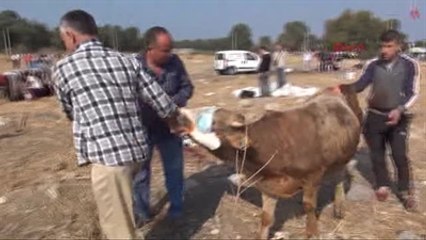İzmir'de Kurban Bayramı'nda Yine Aynı Manzara-2