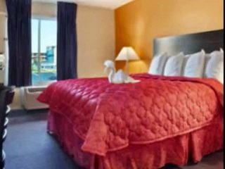 Hotel Near Disney World