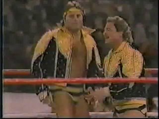 WWF Superstars 1986-11-01
