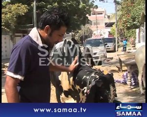 Shahid Afridi & Umar Akmal with Qurbani Animals
