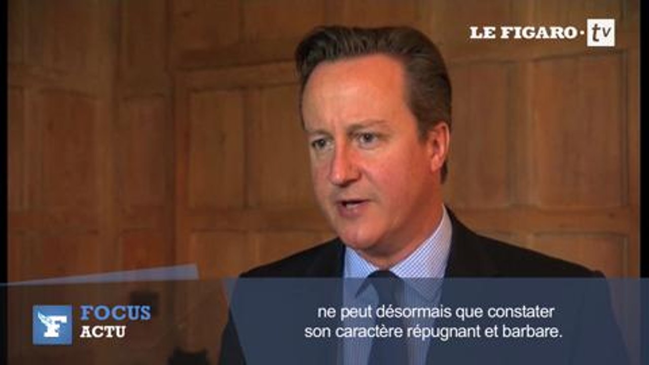 Cameron : "Il faut vaincre l'EI dans la région, mais aussi chez nous"