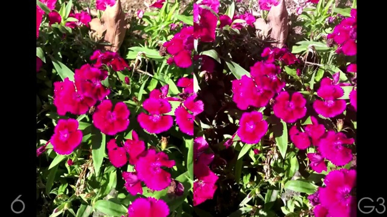 iPhone 6 vs LG G3 - Ultimate Camera Comparison
