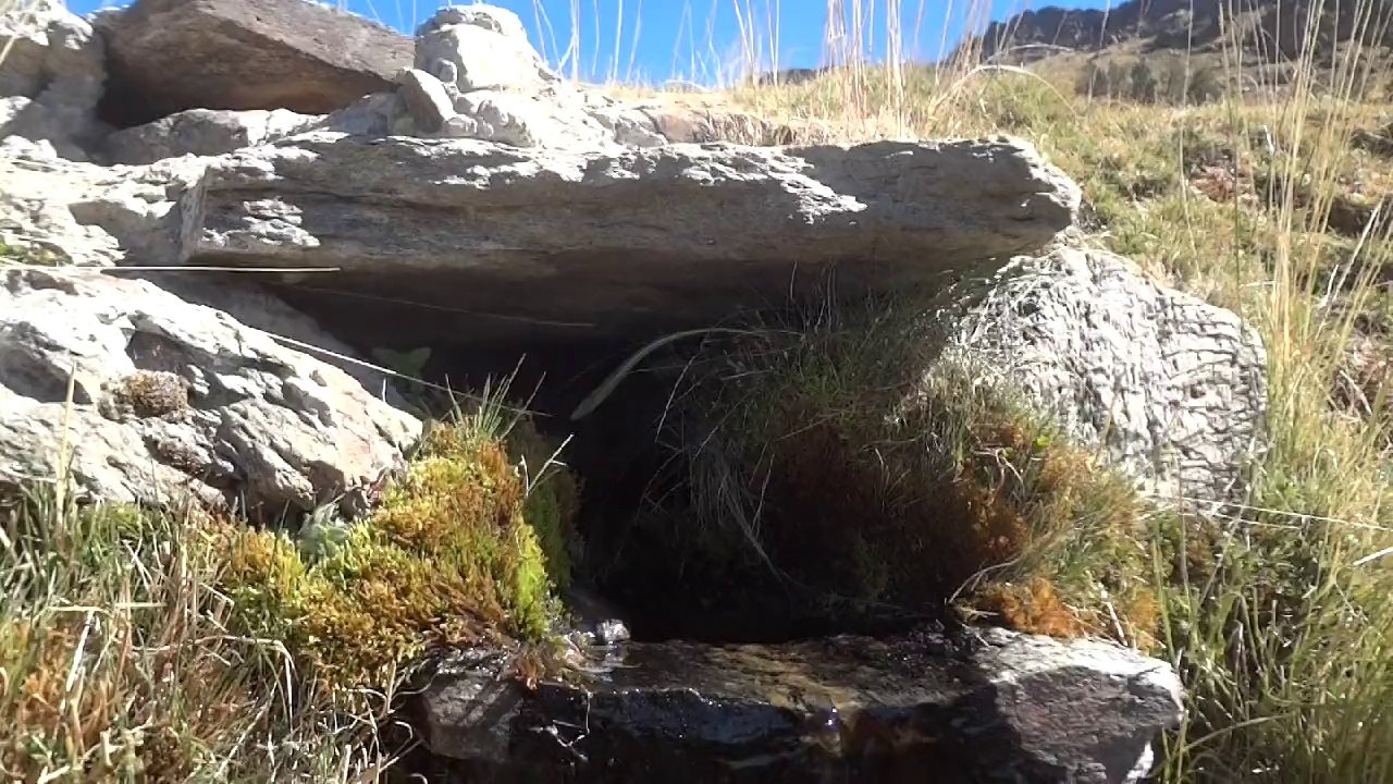 Las Alegas. Verano 2014
