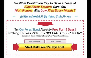 forex signal service provider