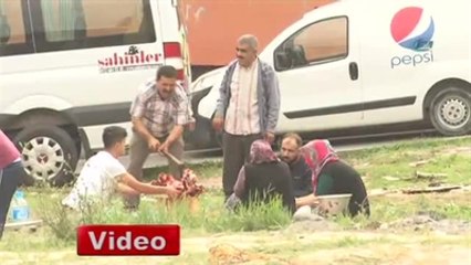 Yasak Alanda Kurban Kesip Kavurma Yediler