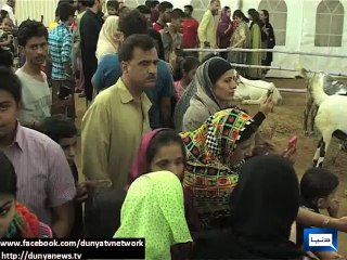 Dunya News - Children's enthusiasm at special places dedicated for sacrificial animals