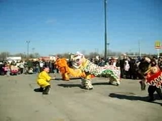 Chinese New Year - The Lion Dance