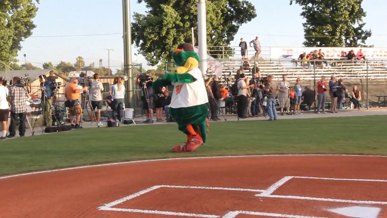 Tara s First Pitch