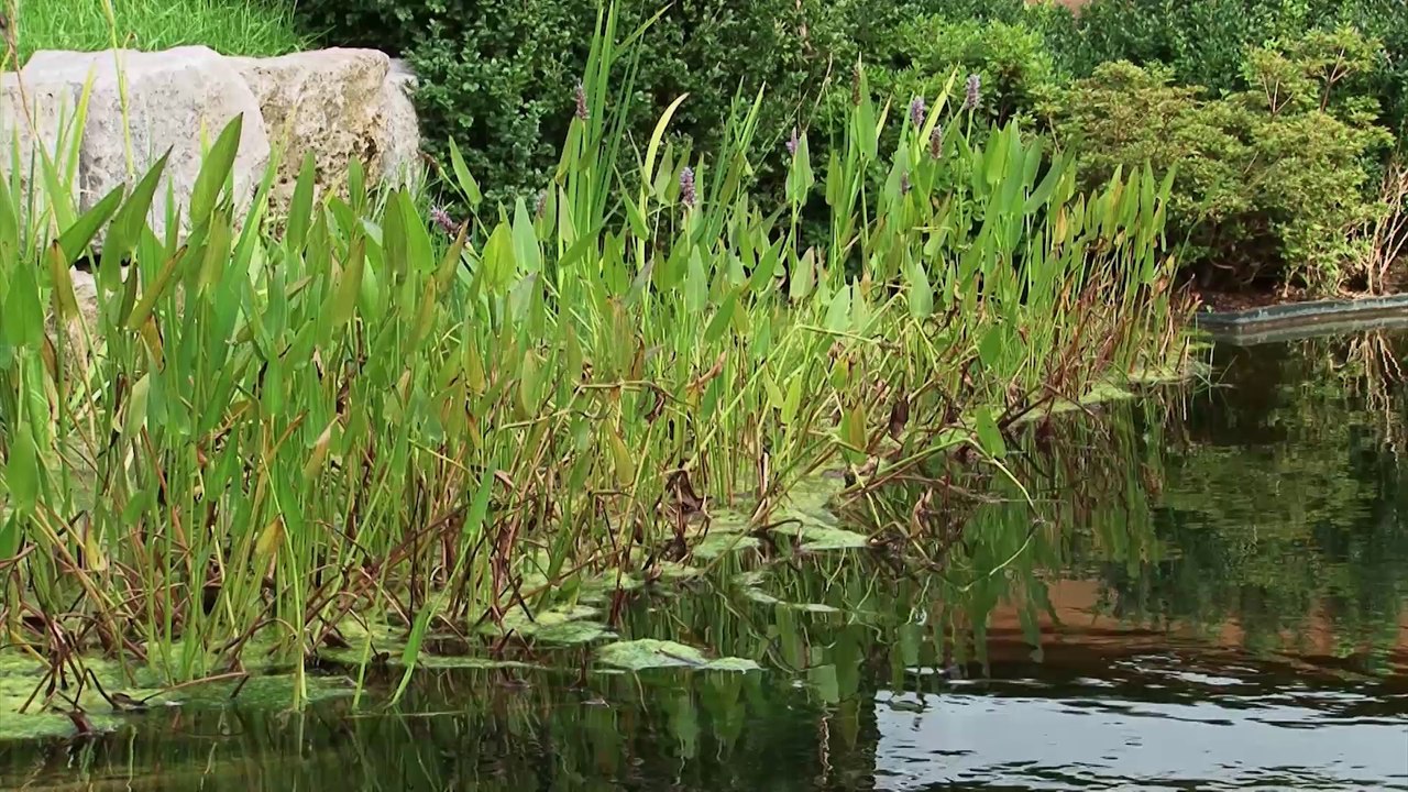 Villa in exklusiver Lage - Wien - Döbling - Neustift