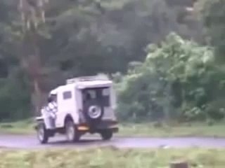 Funny Videos Indian elephant attack in Kerala India Tezabi Totay