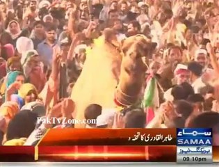 Babar awan presents camel to Dr Qadri