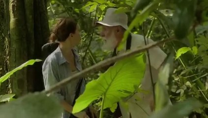 Siete Vuelos - Capítulo 7 - De aguas grandes y música de años