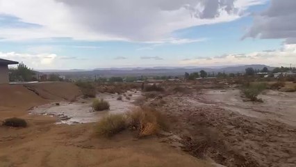 Wall of water in Joshua tree