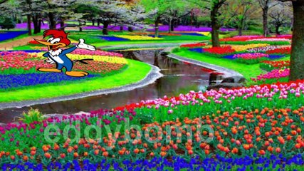 [YTPBR] picapau falha tentando capturar luíz o espalha palha