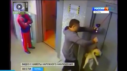 Enorme réflexe pour sauver un chien coincé dans un ascenseur