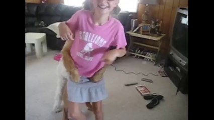 Dancing Dogs Compilation