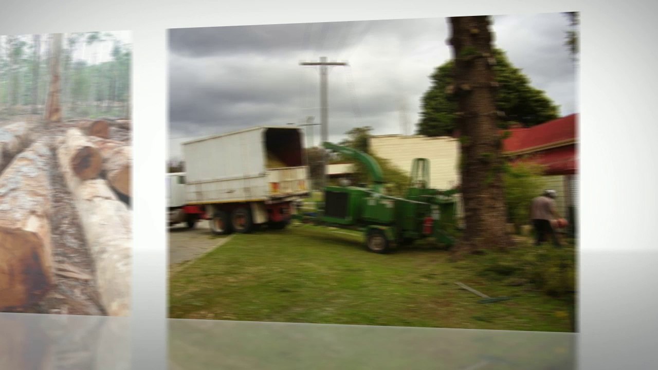 WA Treeworks Tree Services in Perth