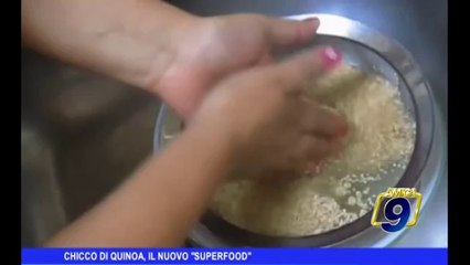Chicco di Quinoa, il nuovo "superfood"
