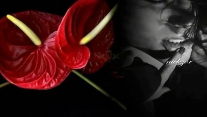 Sinan Akçıl - Fark Atıyor