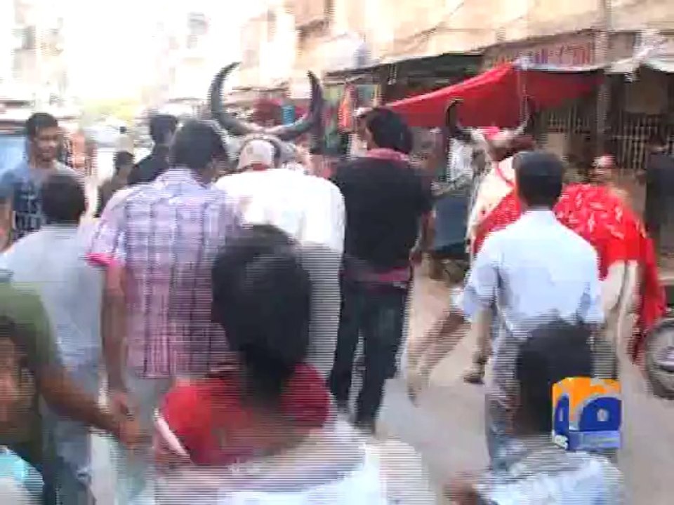 Chand Bail for Eid-ul-Azha-05 Oct 2014