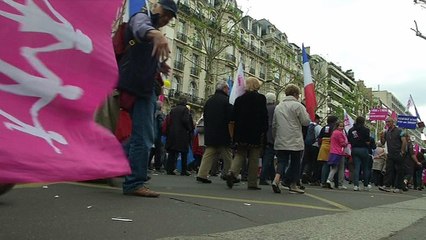 Manif pour tous: les forces de l'ordre prêtes à éviter les débordements