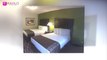 Boarders Inn & Suites - Ashland City, TN, Ashland City, United States