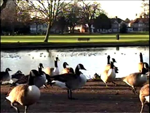 tere karam ki singer mukhtar younis and tamar poet and composer fraz bhatti