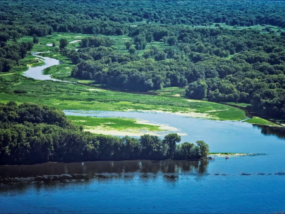 Rufus Thomas: Funky Mississippi