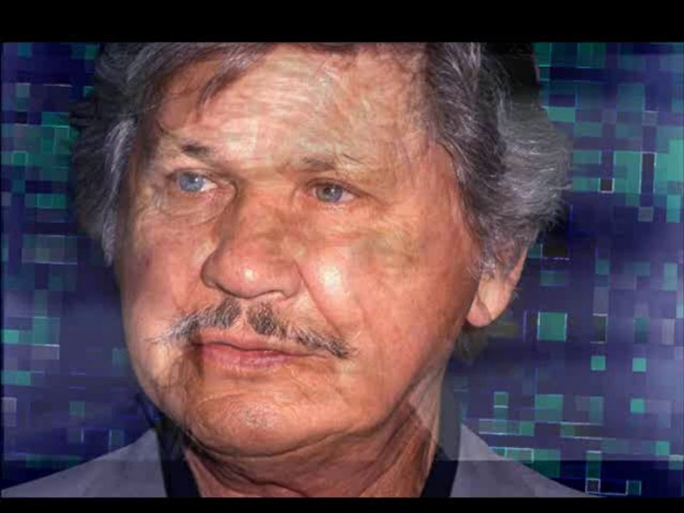 HOMENAJE A CHARLES BRONSON