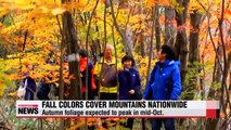 Fall foliage arrives earlier than usual