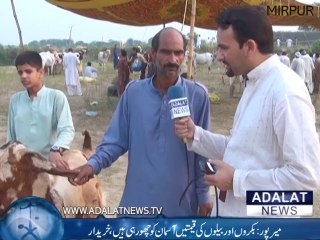 mirpur eid k moqa par bakra mandi mian rash