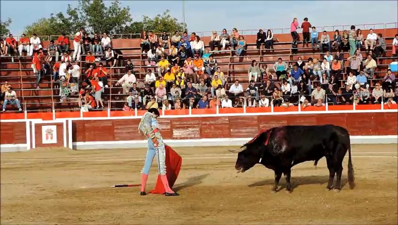 TOREO DE MUCHOS QUILATES EN GUADARRAMA