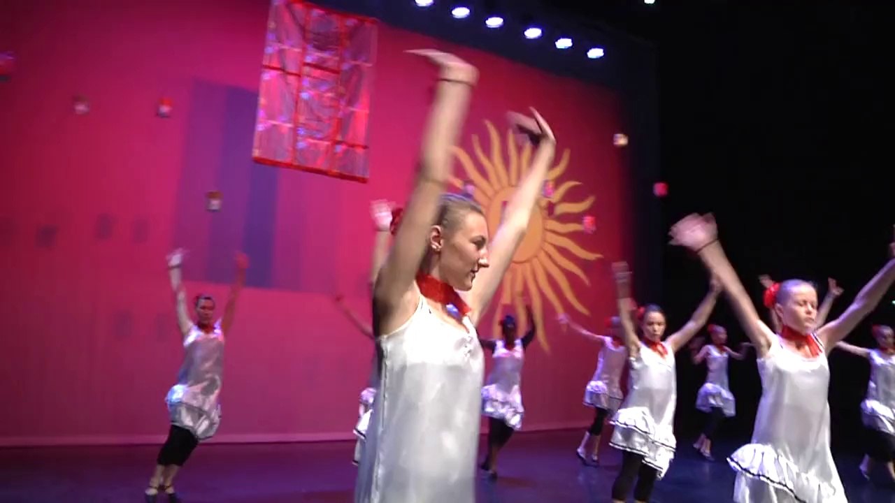 Danse passion : Spectacle 2014