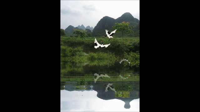 Hérons de Chine HD Musique chinoise traditionnelle