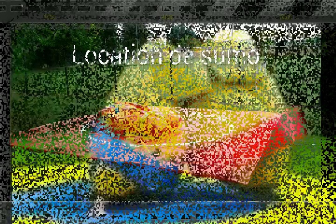 Proger 2 location de château gonflable marseille pas cher